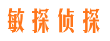 河东捉小三公司